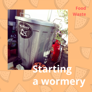 Read more about the article Starting a wormery
