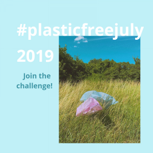 Read more about the article Plastic free July Challenge