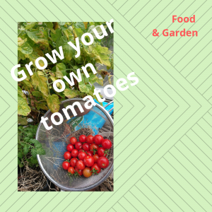 Read more about the article Grow your own tomatoes