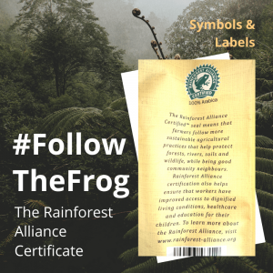 Read more about the article #FollowTheFrog