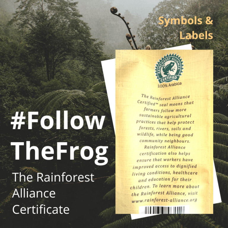 Follow the frog, a brief guide to what following the frog means