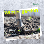 Prepare Your Garden for Winter – Five different eco actions