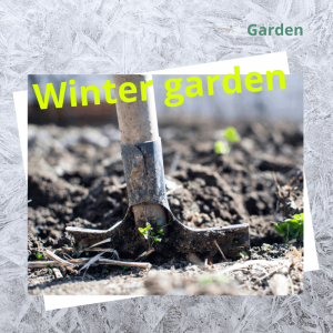 Read more about the article Prepare Your Garden for Winter – Five different eco actions