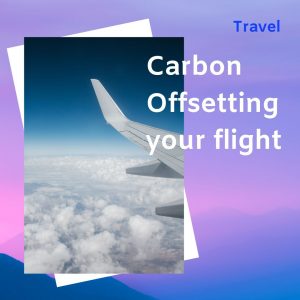 Read more about the article Carbon Offsetting your flight