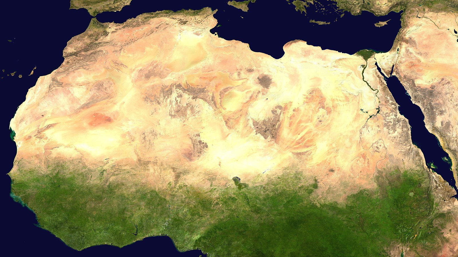 You are currently viewing The Great Green Wall