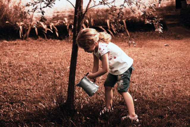 Child watering a tree. Photo by Pedro Kümmel on Unsplash